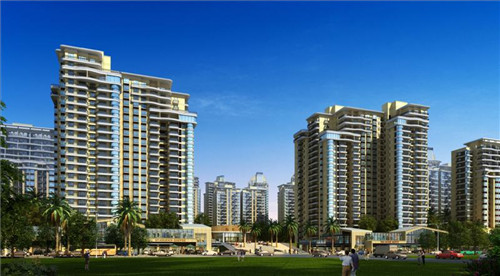 新西兰岩烧乳酪