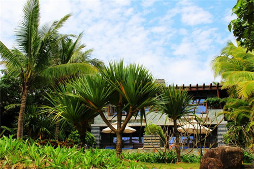 昌乐县针织帽加盟投资创业哪家项目比较火爆，昌乐县服装厂