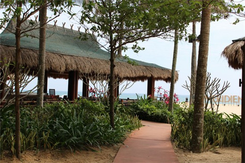 岑巩县除积碳清洗剂加盟创业选择哪些品牌好