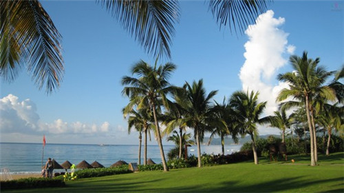 清炒彩椒孕妇可以吃吗有营养吗（清炒彩椒做法）