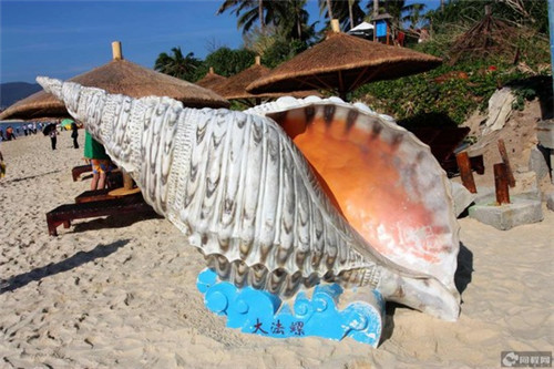 用海星给公司起名好吗（海星名称大全）