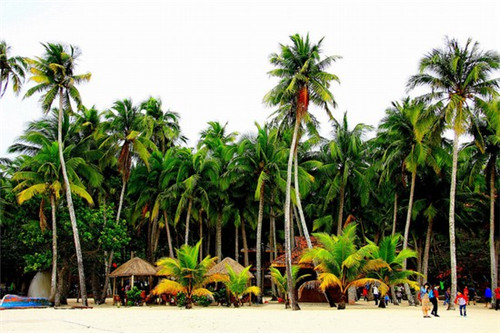 小种经略相公鲁智深（小种经略相公的种的读音）