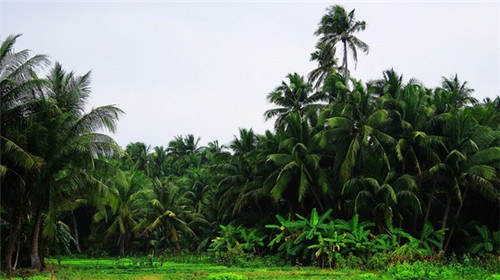 抖音掘金要两个抖音号吗（掘金账号）