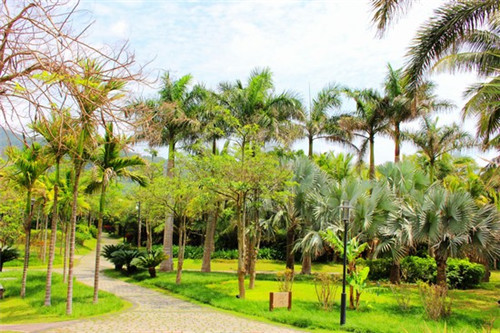 拼多多创业开什么店好赚钱（拼多多开什么店挣钱）