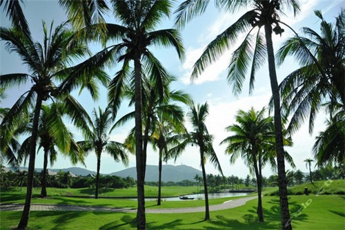 2025衣帽架加盟店受欢迎项目有哪些（精品衣帽架安装方法）