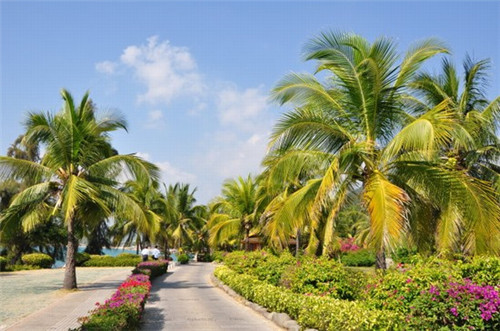 长春水煮鱼加盟费多少啊，长春吃水煮鱼的名店