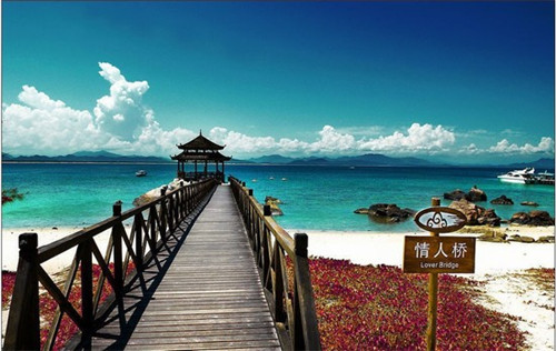 阜阳新开业奶茶店有哪些，阜阳奶茶连锁加盟